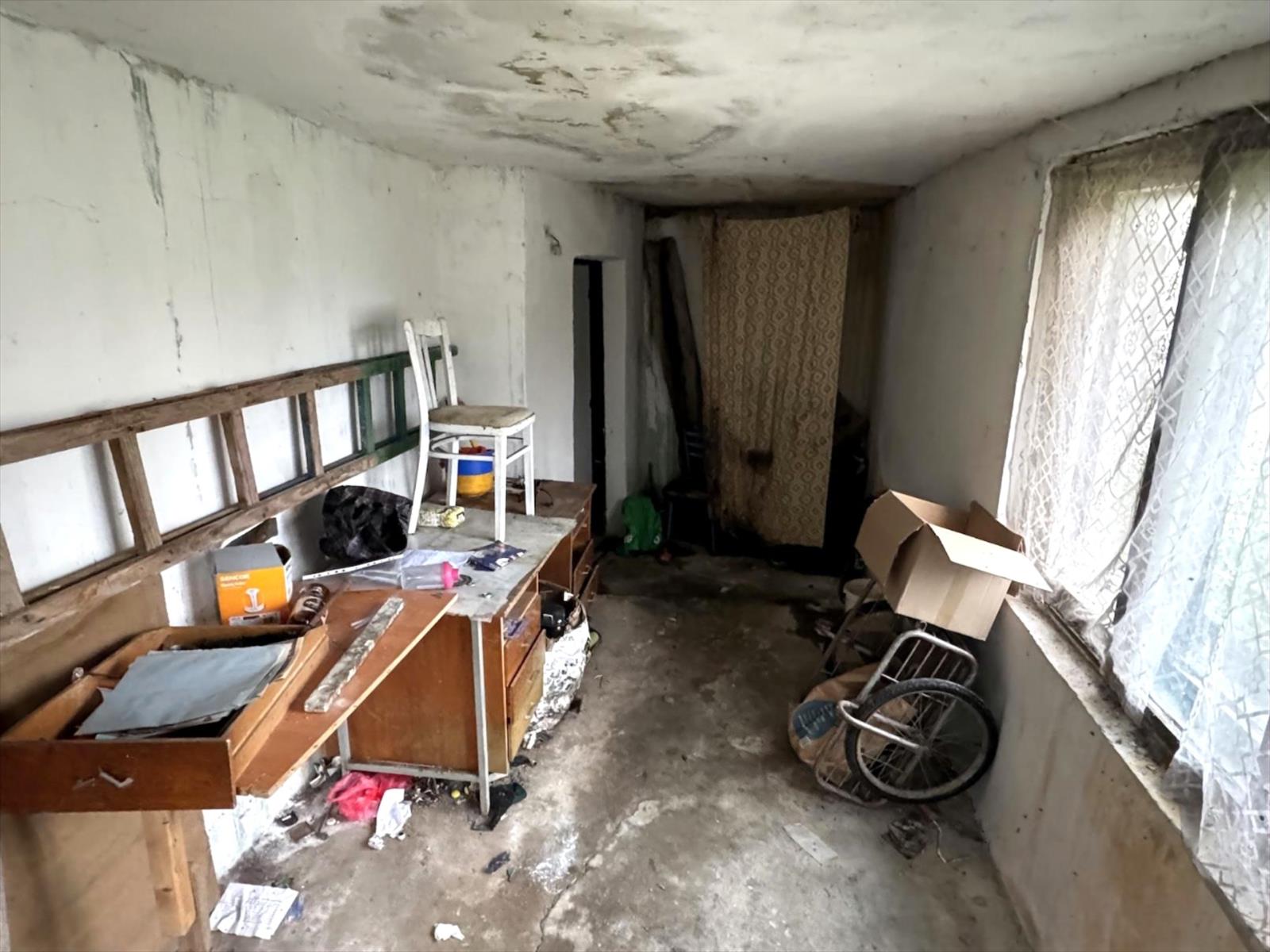 639034112679405901_IMG_9234 u.JPG